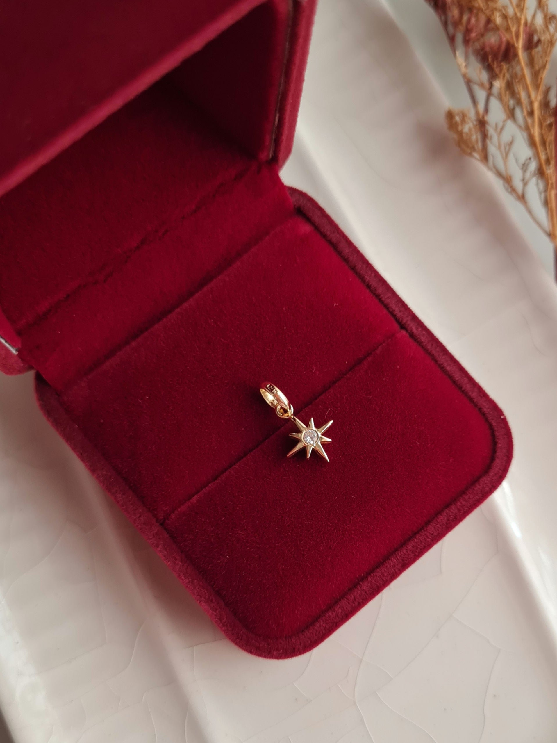 Dije Estrella del Norte Charm - Oro 18k