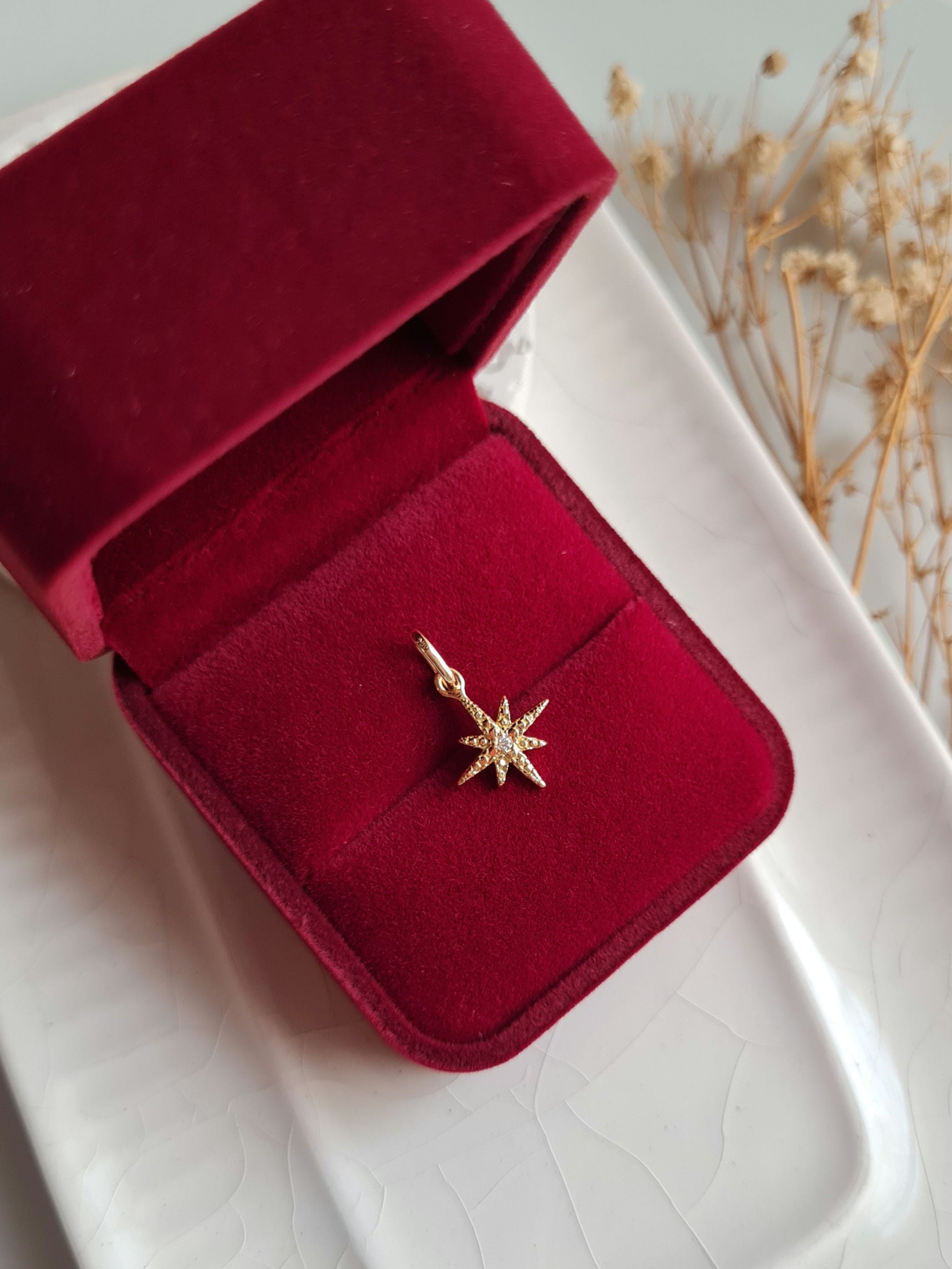 Dije Estrella del Norte Classic - Oro 18k