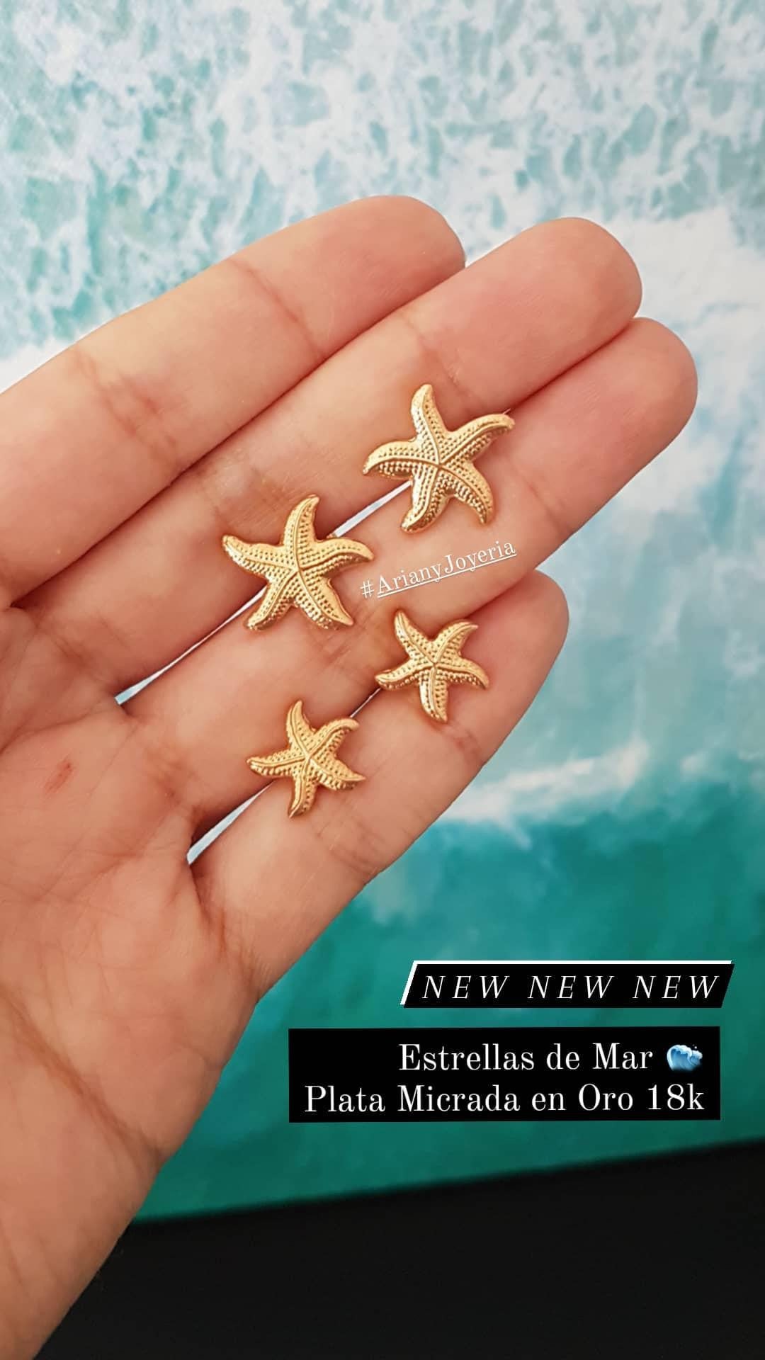 Arete Estrella de Mar - P925 Gold