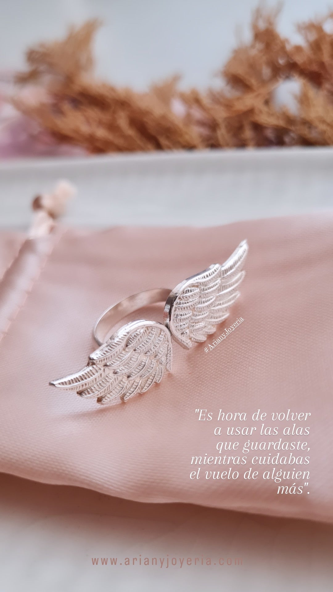 Anillo Alas Extendidas - P950