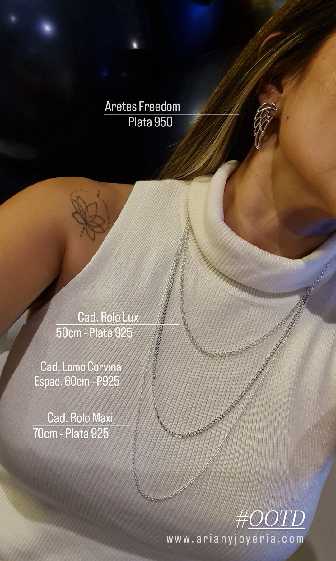 Aretes Alas Maxi - Plata 950
