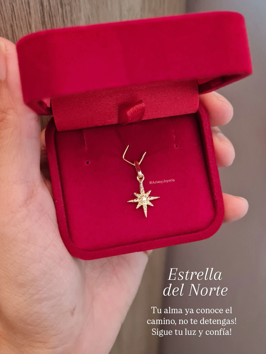 Dije Estrella del Norte Classic - Oro 18k