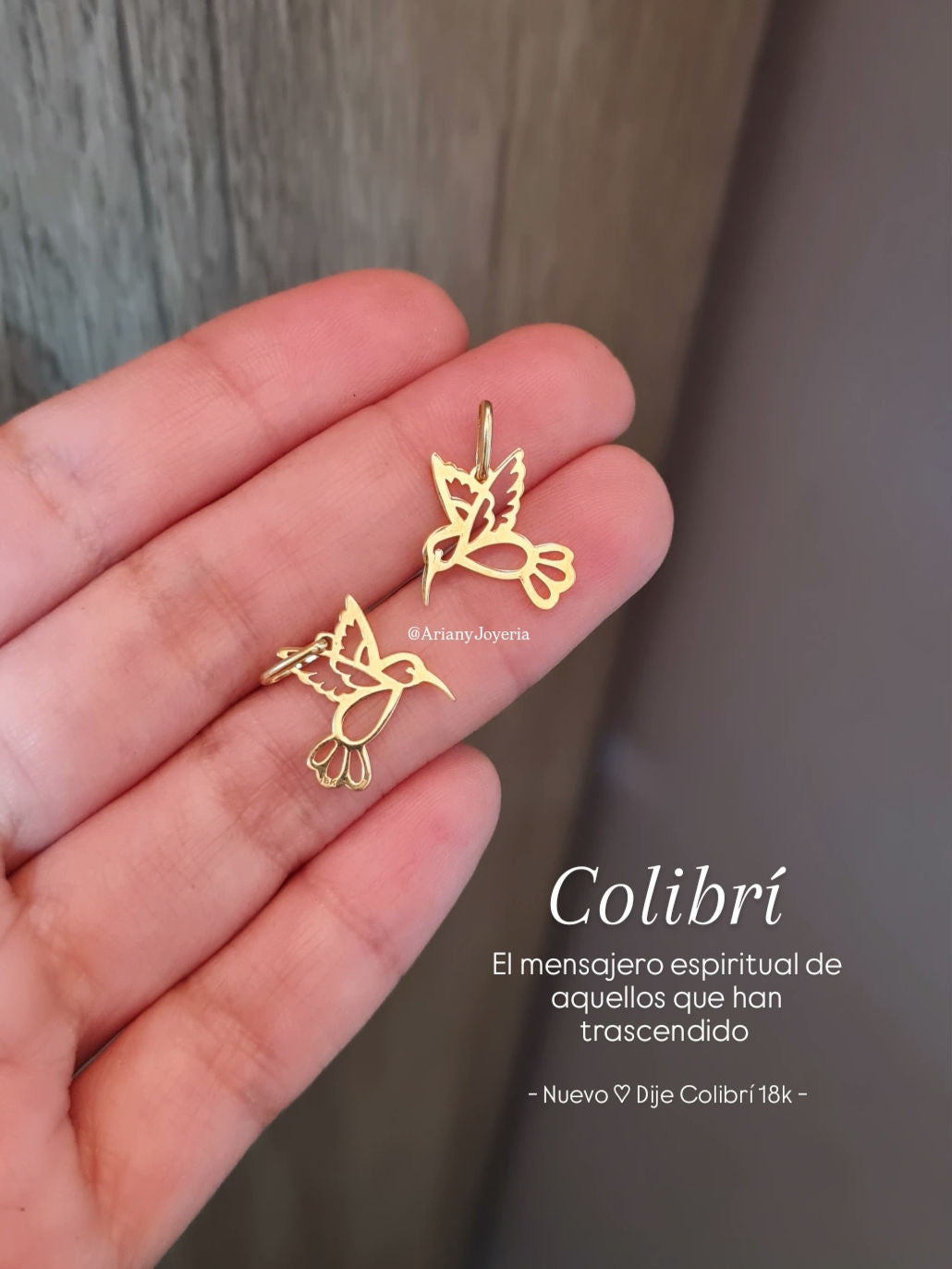 Dije Colibri - Oro 18k
