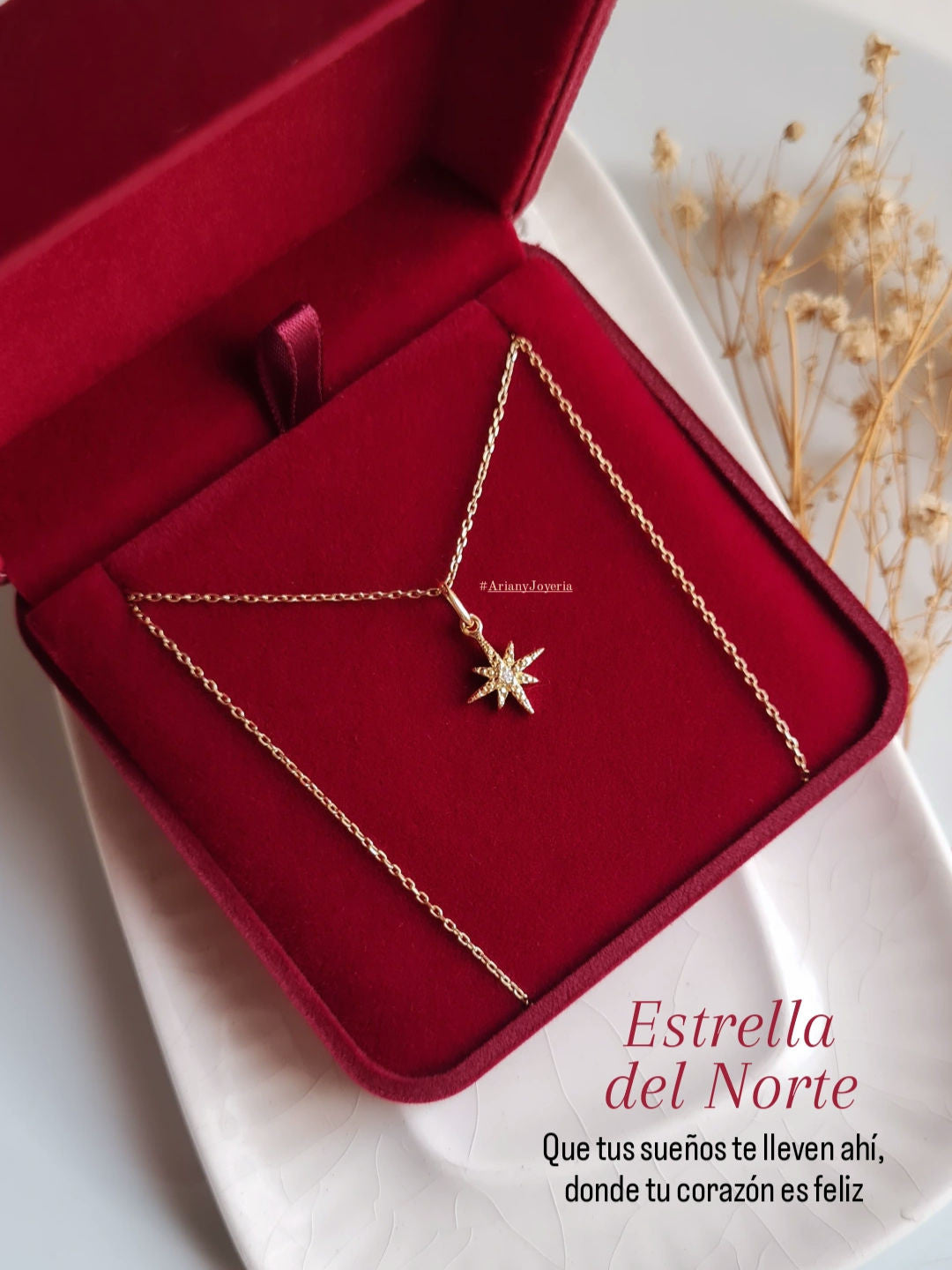 Dije Estrella del Norte Classic - Oro 18k