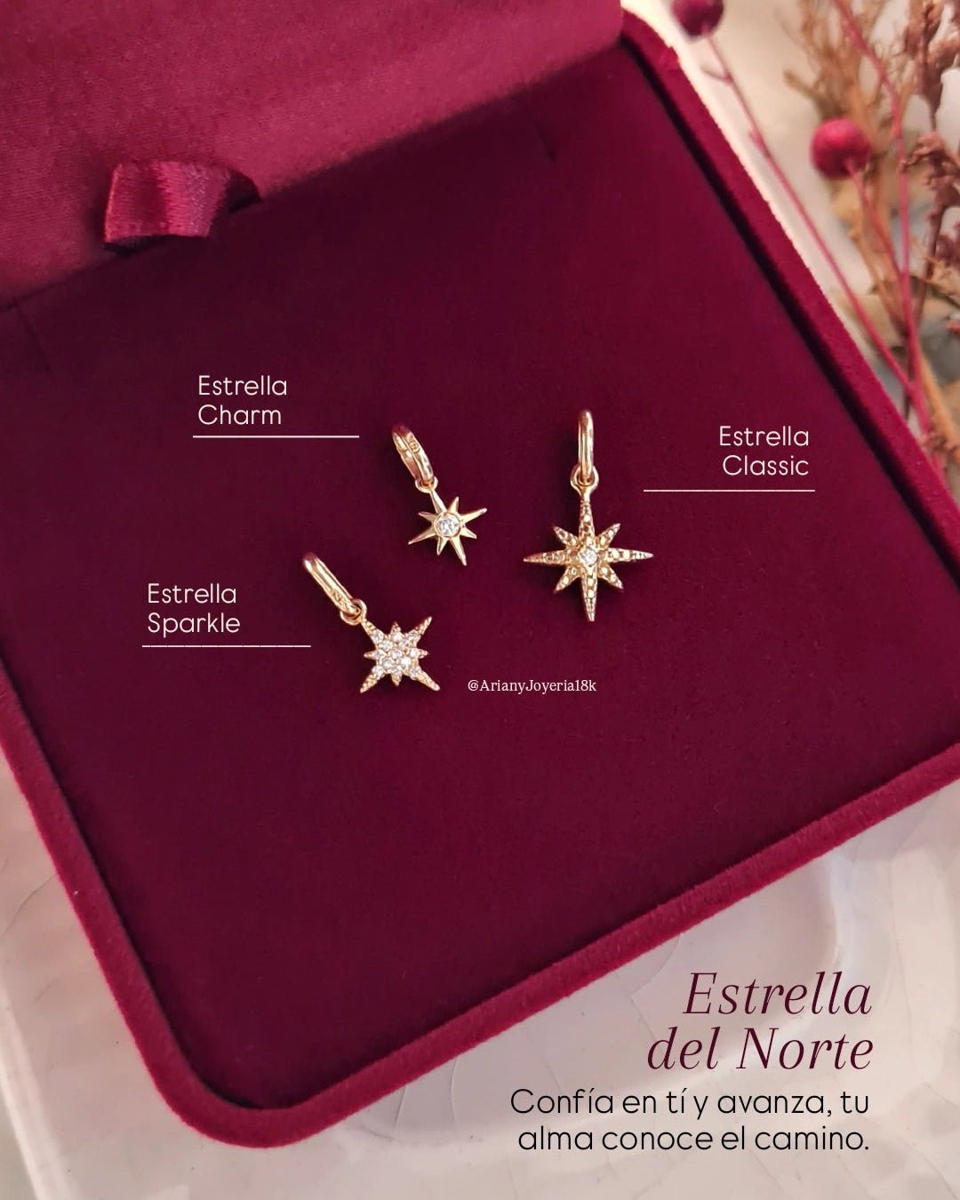 Dije Estrella del Norte Charm - Oro 18k