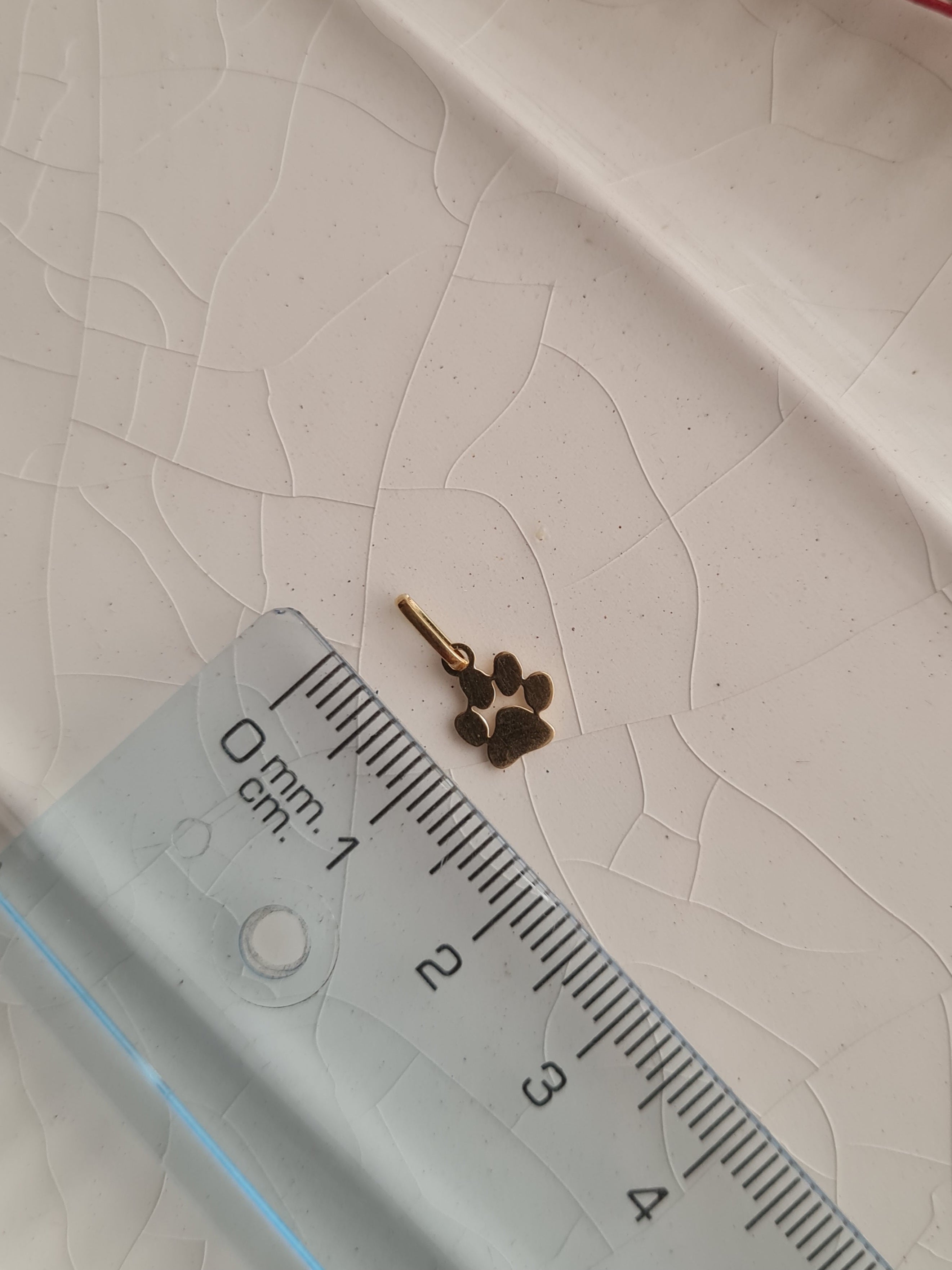 Dije Pet Lover - Huella Perro o Gato  - Oro 18k