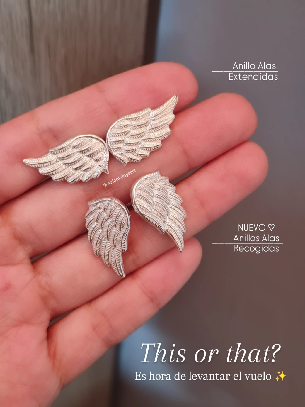 Anillo Alas Maxi Recogidas - P950