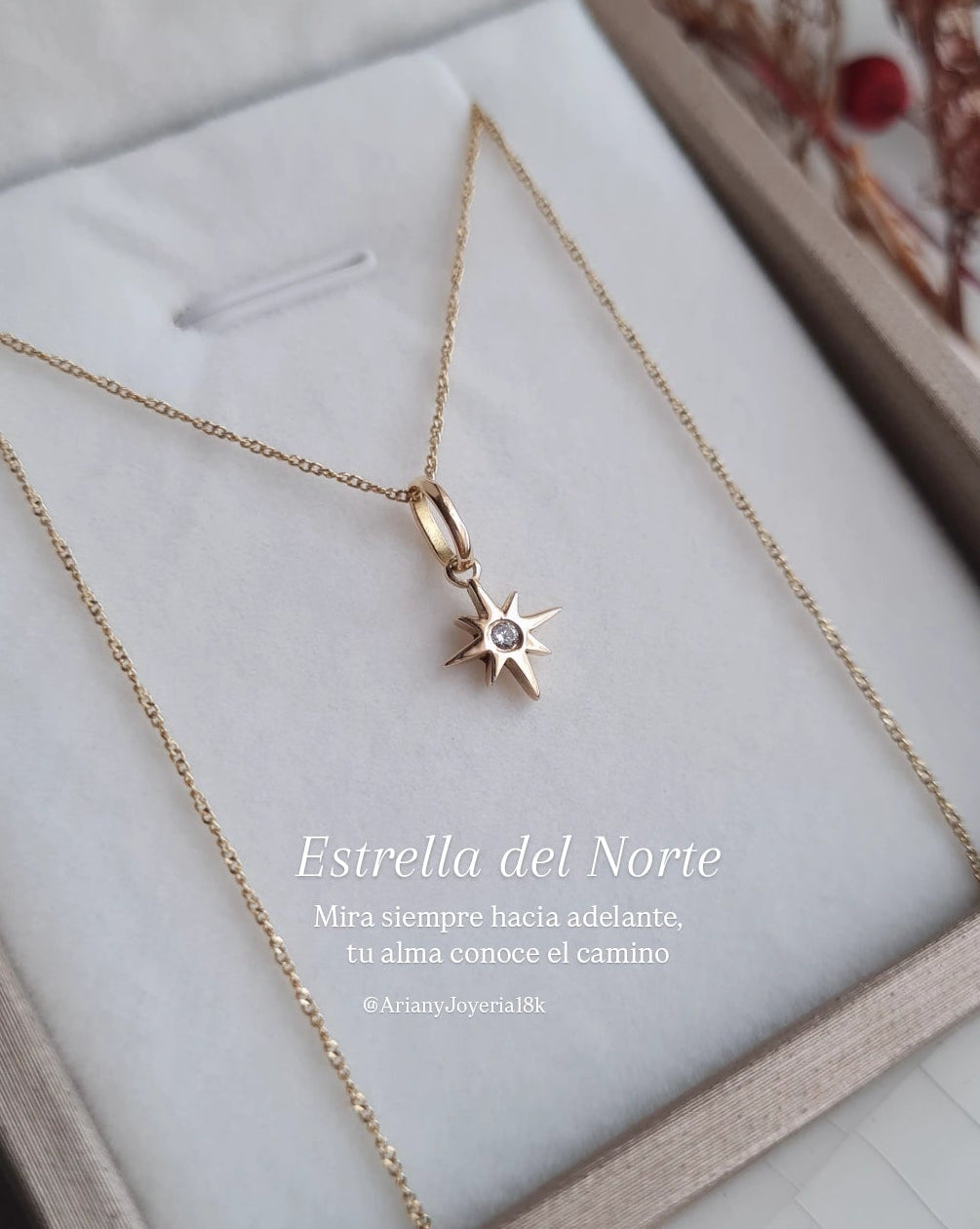 Dije Estrella del Norte Charm - Oro 18k